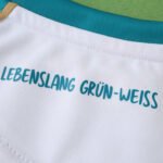 2526 season SV Werder Bremen Concept version Fan version - Afbeelding 17