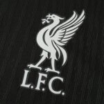 2425 season Liverpool F.C. away Long sleeved Player version - immagine 2