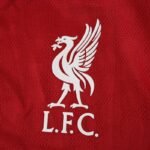 2526 season Liverpool F.C. home Player version - Billede 2