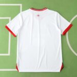 2425 season Lille OSC 80th anniversary Fan version - Image 11