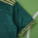 ⁦2526 season Mexico Concept version Fan version⁩ - الصورة ⁦3⁩