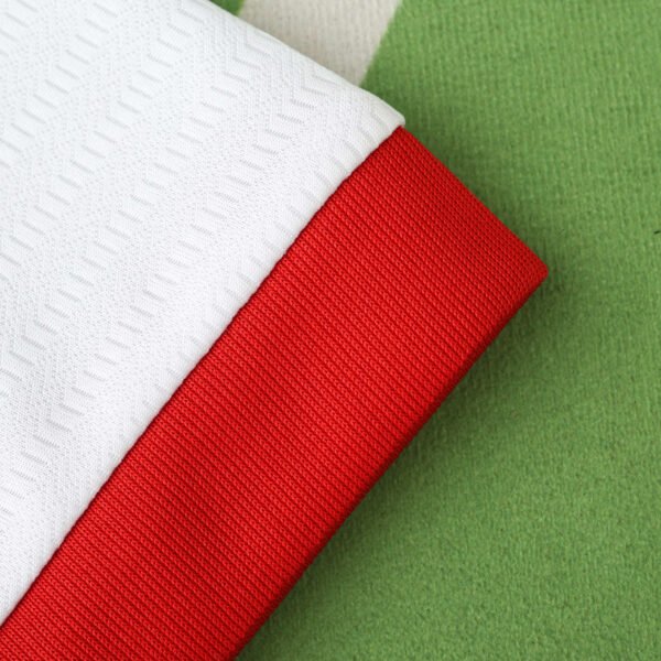 2425 season Lille OSC 80th anniversary Fan version - Image 5