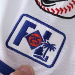 2025 MLB New York Mets 22#SOTO - immagine 7
