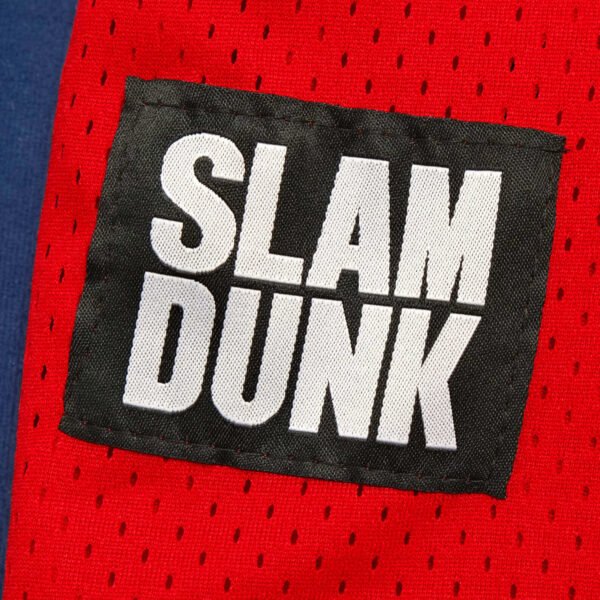 NBA Slam Dunk 10 - immagine 2