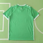 2425 season AS Saint-Étienne home Fan version - Image 13
