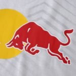 2526 Season RB Leipzig Home Player version - Billede 5