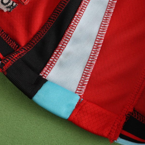 2024 season South Korea home shorts - immagine 8