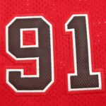 NBA Chicago Bulls 91#RODMAN - Imagem 2