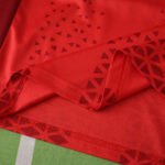 2526 season SC Freiburg Champions League version Fan version - Billede 14