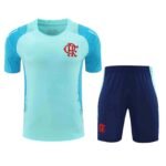 2526 season CR Flamengo Training clothes suit Short sleeve Fan version