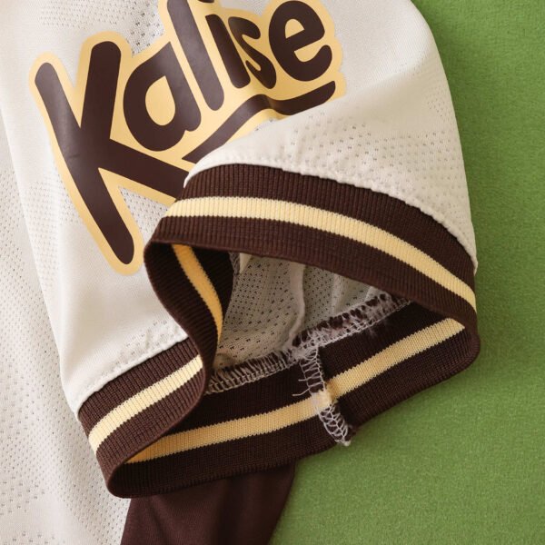 2526 season UD Las Palmas third Fan version - Imagem 10