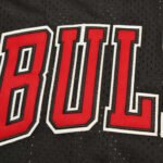 NBA Chicago Bulls 91#RODMAN - Imagem 4