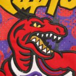NBA Toronto Raptors 15NO CARTCR – Image 2