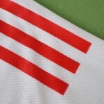 2526 season Olympique Lyonnais home Player version - Afbeelding 3