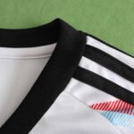 2425 Japan special edition Fan version