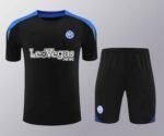 2425 F.C. Internazionale Milano Training clothes suit Short sleeve Fan version