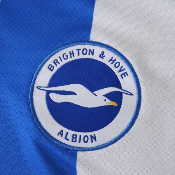 2526 season (Brighton - Afbeelding 3