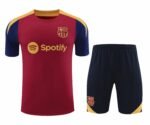 2425 FC Barcelona / Barça Training clothes suit Short sleeve Fan version