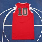 NBA Slam Dunk 10