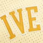 NBA Philadelphia 76ers 3#IVERSON - Imagem 6