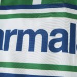 1992 season Palmeiras home retro Fan version - Afbeelding 11