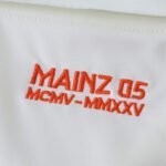 2526 season 1. FSV Mainz 05  Concept version Fan version - Afbeelding 13