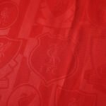 ⁦2425 season Liverpool F.C. Training clothes Fan version⁩ - الصورة ⁦13⁩