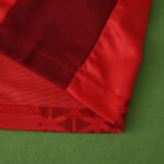 2526 season SC Freiburg Champions League version Fan version - Billede 13