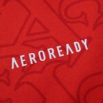 2526 season Arsenal F.C. home Fan version - Billede 8