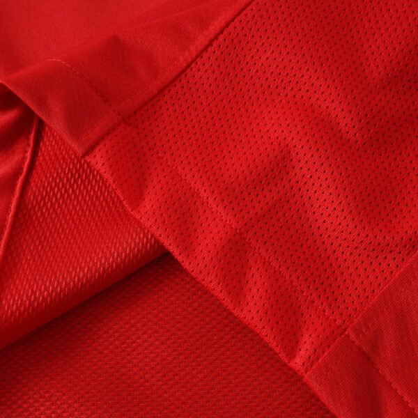 2010 season Portugal home retro Fan version - Billede 9