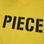 2526 season Borussia Dortmund Concept version Fan version - immagine 11