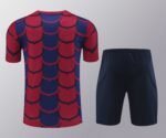 2425 FC Barcelona / Barça Training clothes suit Short sleeve Fan version - Image 3