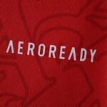 2526 season Arsenal F.C. home Long sleeved Fan version - Image 6