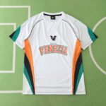 2425 season Venezia F.C. away Fan version