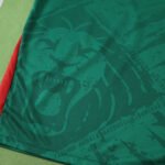 2526 season Cameroon home Fan version - Imagem 9