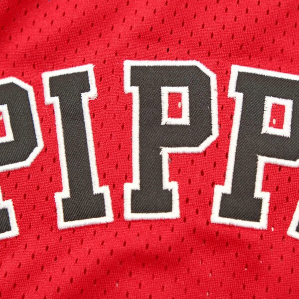 NBA Chicago Bulls 33#PIPPEN - immagine 7