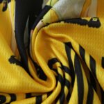 2526 season Borussia Dortmund Concept version Fan version - immagine 14