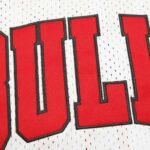 NBA Chicago Bulls 45#JORDAN - Imagem 4