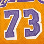 NBA L.A. Lakers 73#RODMAN - immagine 2