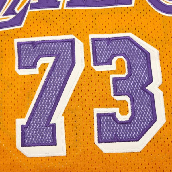 NBA L.A. Lakers 73#RODMAN - immagine 2