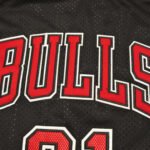 NBA Chicago Bulls 91#RODMAN - Imagem 3