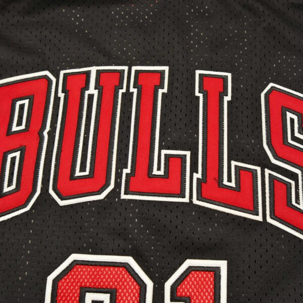 NBA Chicago Bulls 91#RODMAN - Imagem 3