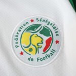 ⁦2002 season Senegal home retro Fan version⁩ - الصورة ⁦3⁩