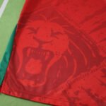 2526 season Cameroon away Fan version - Imagem 10