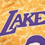 NBA Bape x Mitchell L.A. Lakers 93#BAPE - Afbeelding 2