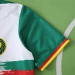 2526 season Cameroon third Fan version - Imagem 5