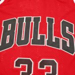 NBA Chicago Bulls 33#PIPPEN - immagine 3