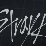 ⁦2526 season Tottenham Hotspur F.C. away Concept version Fan version⁩ - الصورة ⁦4⁩