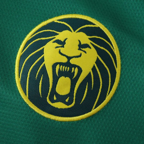 2526 season Cameroon home Fan version - Imagem 3