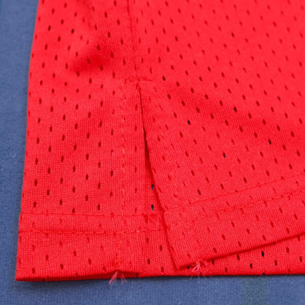 NBA Chicago Bulls 91#RODMAN - Imagem 5